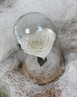 Rose éternelle blanche en forme de coeur sous cloche