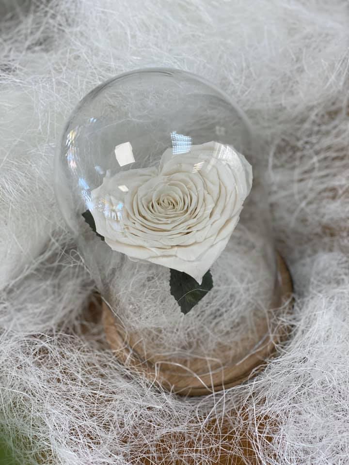 Rose éternelle blanche en forme de coeur sous cloche - Les fleurs d'Ali