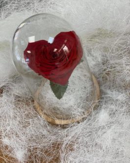 Rose éternelle rouge en forme de coeur sous cloche